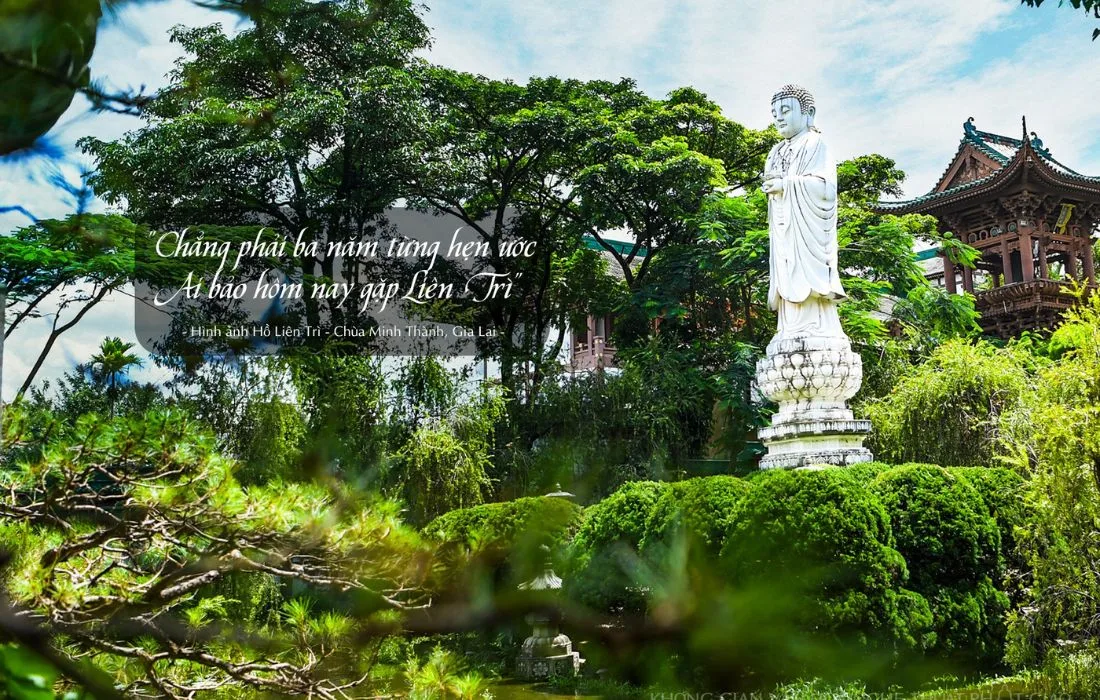 Khuôn viên chùa với những không gian non nước hữu tình, khiến lòng thêm thanh tịnh, vững tâm hướng Phật.