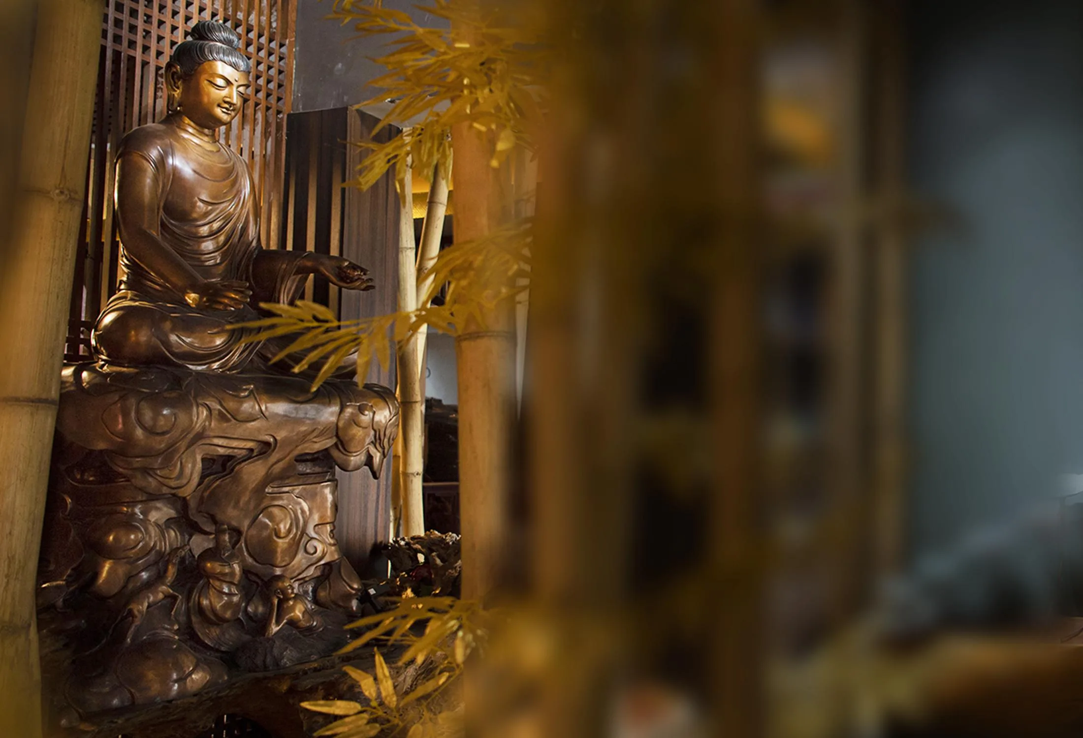Tiếp Dẫn Đạo Sư A Di Đà Phật - Nguyện Lực Rộng Sâu Tiếp Cứu Độ Chúng Sanh
